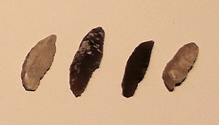 Mushabian culture microliths, Ramat Matred, circa 15500 BP Mushabian culture microliths, Ramat Matred, 15500 BP.jpg