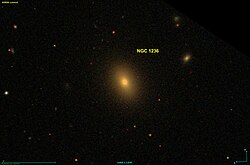 NGC 1236 SDSS.jpg