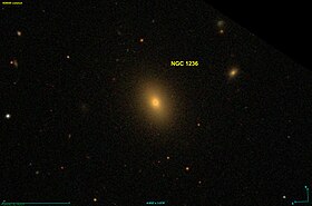 NGC 1236 SDSS.jpg