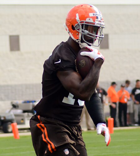 Nate Burleson 2014 Browns training camp.jpg