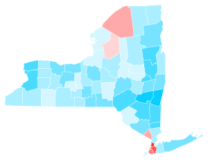 2020 United States Presidential Election In New York