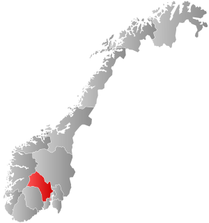 Buskerud County Municipality Former County in Norway