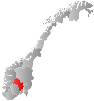 <span class="mw-page-title-main">Buskerud</span> County (fylke) of Norway