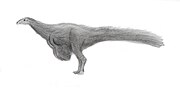 Miniatura para Nqwebasaurus thwazi