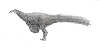 <i>Nqwebasaurus</i> Species of extinct reptile