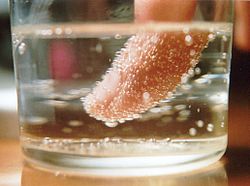 Nucleation of carbon dioxide bubbles around a finger Nucleation finger.jpg