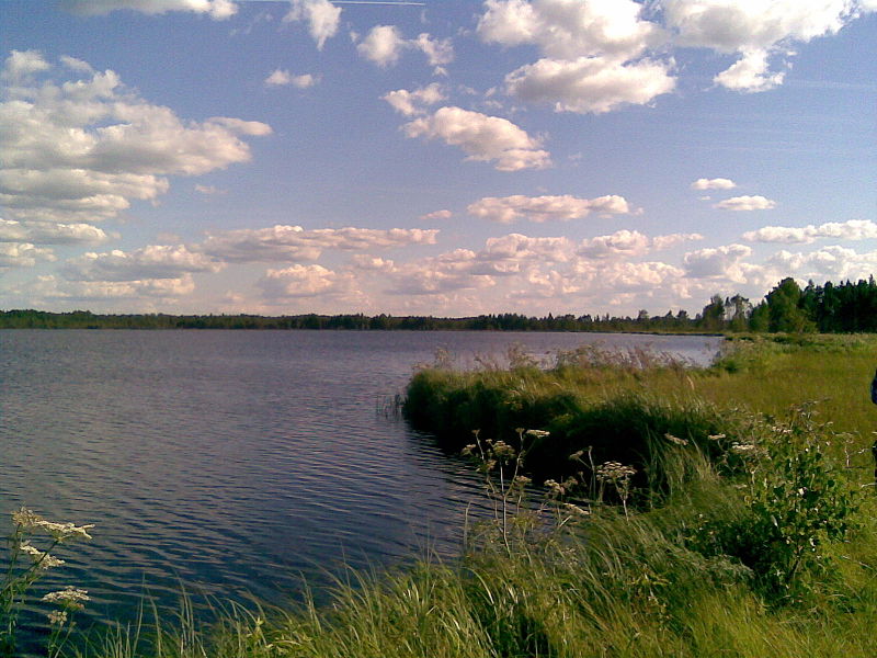 File:Ohelpalu Suurjärv.jpg