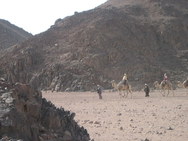 File:On a camel (2429224748).jpg