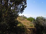 Ou ossewapas (old versfeldpas), View from Korentebos looking up.jpg