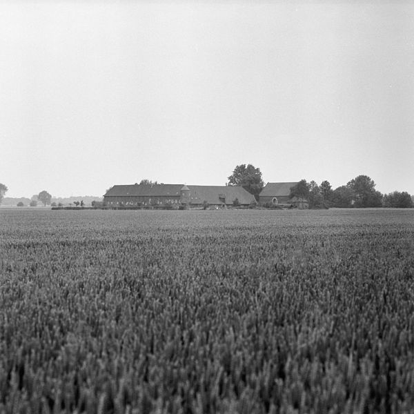 File:Overzicht achtergevel, linker zijgevel met hoektoren en schuur - Itteren - 20355653 - RCE.jpg