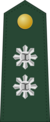 tenente-coronel