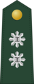 teniente coronel