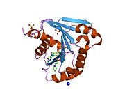 PDB 1fzq EBI.jpg