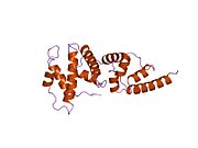 PDB 1pbv EBI.jpg