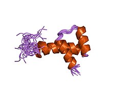 PDB 1san EBI.jpg