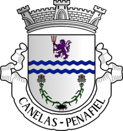 Canelas ê kéng-sek