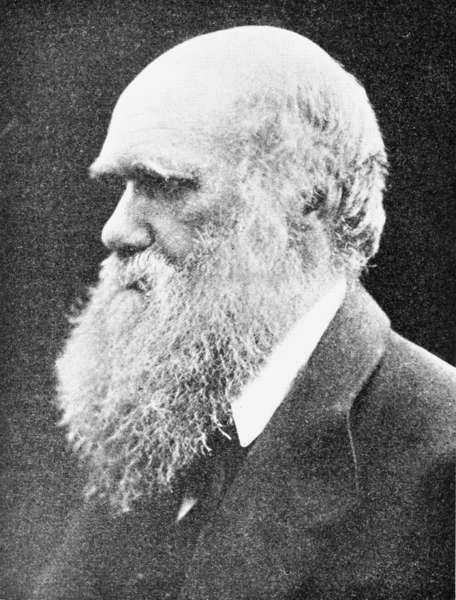 File:PSM V74 D342 Charles Darwin.png