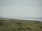 Padre Island National Seashore