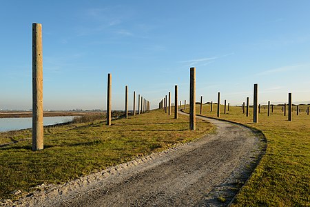 Wooden poles, Palo Alto Baylands