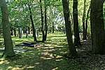 Jüdischer Friedhof (Aschendorf)