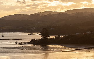 <span class="mw-page-title-main">Parua Bay</span> Place in Northland Region, New Zealand