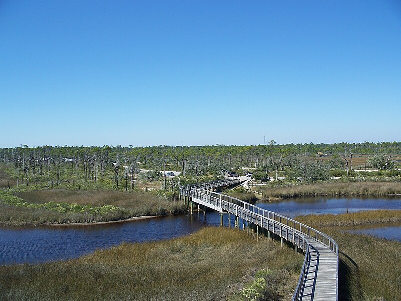 File:Pensacola FL Big Lagoon SP from obs tower06.jpg