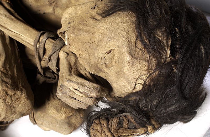 File:Peruvian mummified male, c.1200-1400 Wellcome L0035654.jpg