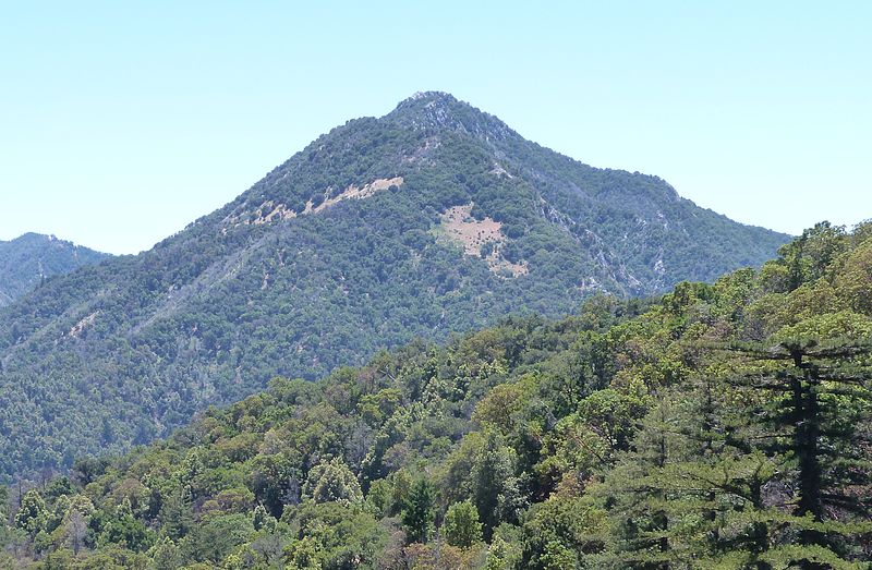 File:Pico Blanco.jpg