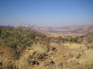 Pilanesberg National Park Wide Plain.jpeg