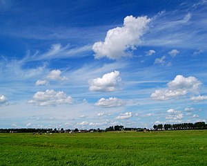 La Zuidplaspolder ĉe Moordrecht.