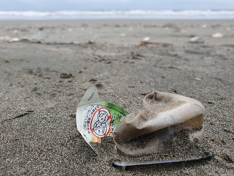 File:Pollution garbage on Kujukuri beach 7.jpg