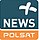 Polsat News Plus logo.jpg