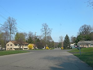 Straat in een woonwijk van Crown Heights