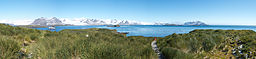 Prion Island Panorama.jpg