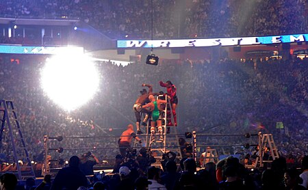 Professional wrestling ladder match.jpg