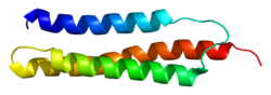 Protein ERAF PDB 1w09.png
