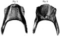 Miniatura wersji z 16:19, 20 mar 2022