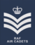 Combined Cadet Force