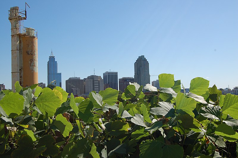 File:RaleighNC skyline, kudzu.jpg