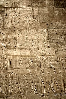 The Egyptian siege of Dapur in the 13th century BC, from Ramesseum, Thebes. Ramesseum siege of Dapur.jpg