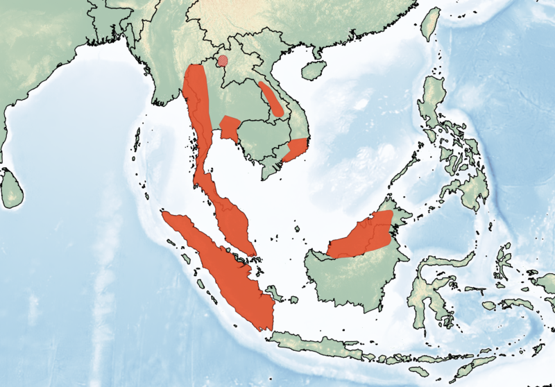 File:Range Hylopetes spadiceus.png