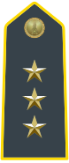 Rank insignia of capitano of the Guardia di Finanza