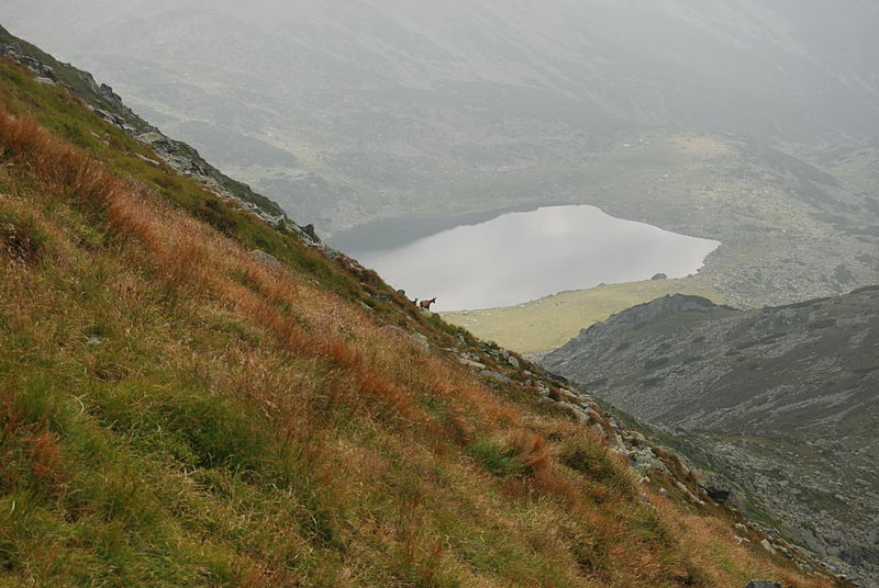 File:Retezat Mountain - Bucura Lake 02.JPG