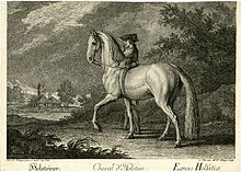 Um homem tem nas mãos um cavalo cinza através de uma paisagem rural.