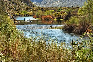 Arizona Salt River