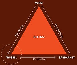 Risiko: Etymologi, Historie, Definisjoner