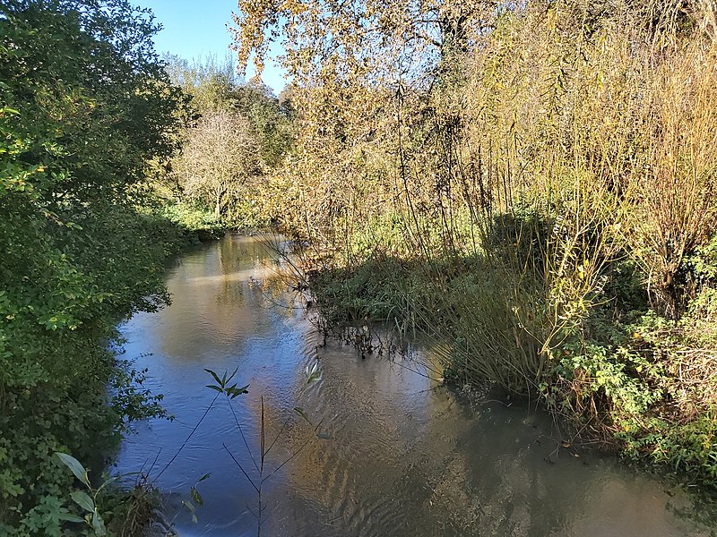 File:River Wey from bridge over Moor Park Lane.jpg