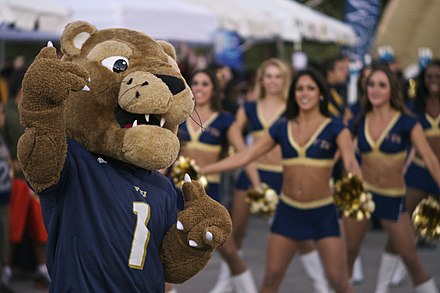 Roary and the FIU Dazzlers during Homecoming