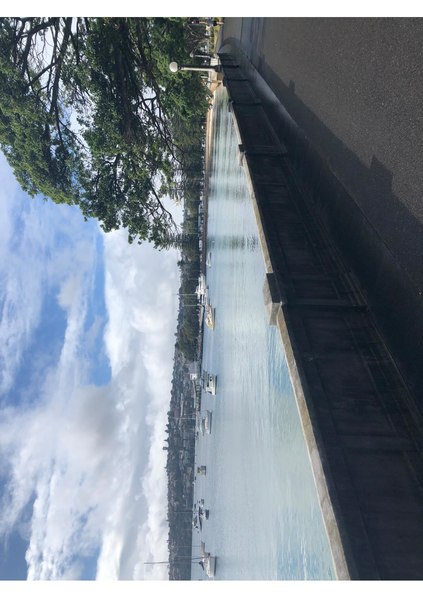 File:Rose Bay Seawall.pdf