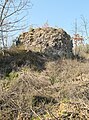 Ruine Dellingen (Delliburg)